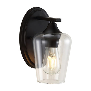 Jayne Iron/Glass Cottage Rustic LED Vanity Light